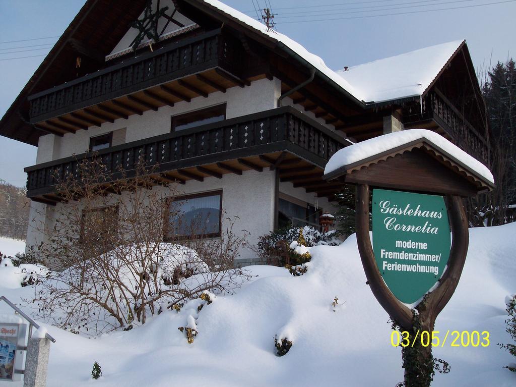 Gaestehaus Cornelia Wildensee Buitenkant foto