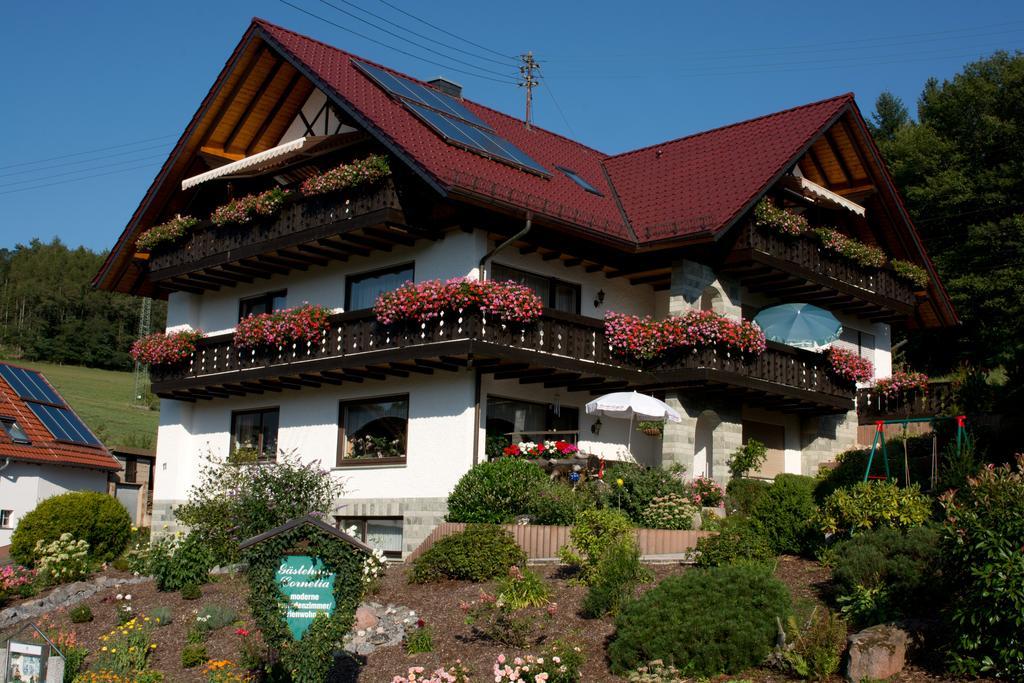 Gaestehaus Cornelia Wildensee Buitenkant foto